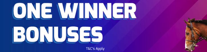 11 winner