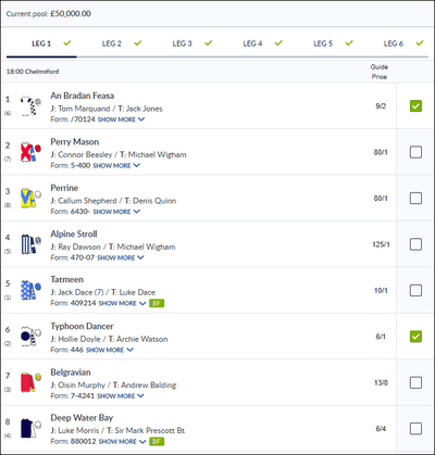 Coral Placepot Screenshot